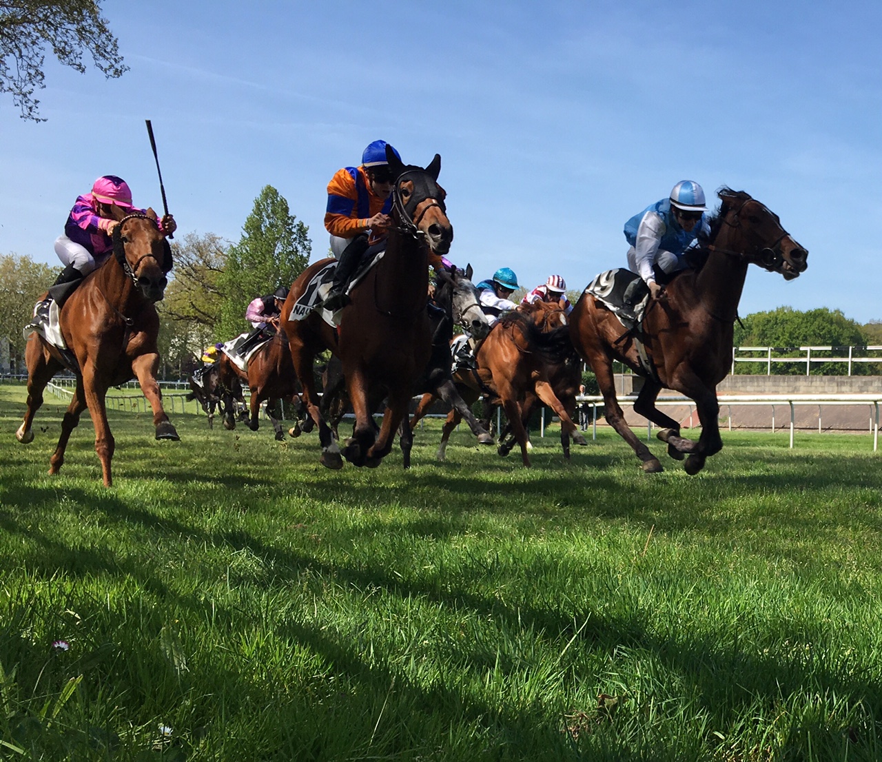 Honneur aux galopeurs à l'hippodrome de Nantes