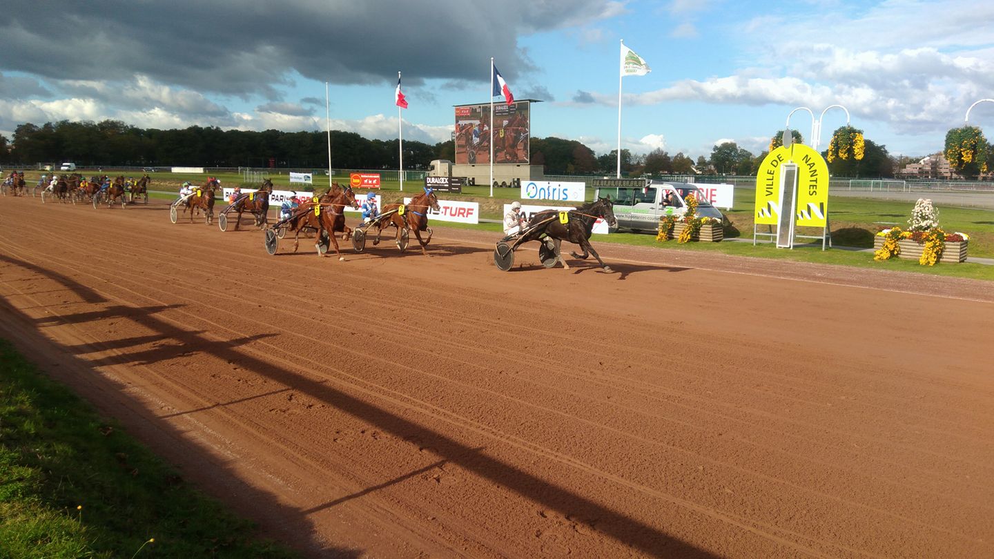 Lancement du meeting de TROT au Petit Port !