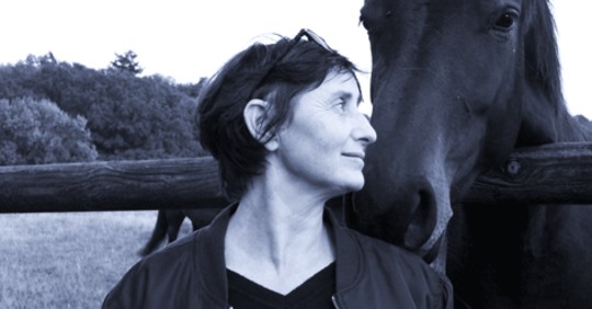 Conférence "Etude du vocabulaire équestre concernant l'éducation du jeune cheval à travers l'étude des textes des grands maitres (Bibliothèque Mondiale du Cheval). " à l'école Blondeau