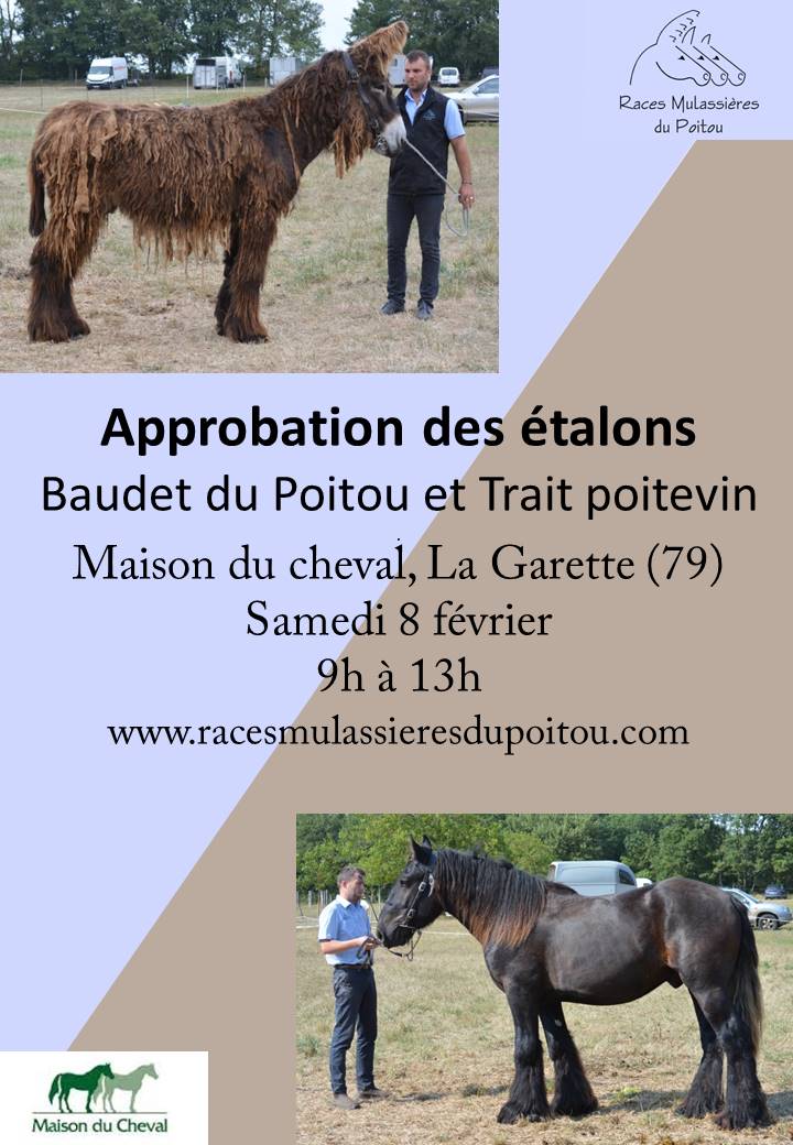 Approbation des étalons