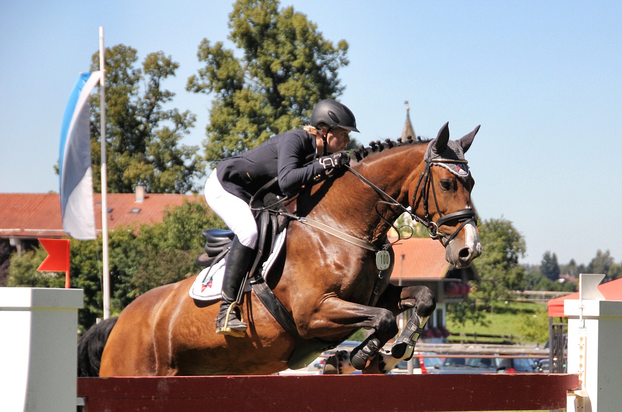 Parcours CSO d'entrainement au Haras de Lamballe