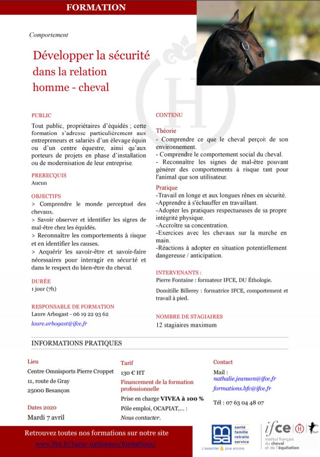 Formation IFCE/MSA : développer la sécurité dans la relation Homme/Cheval