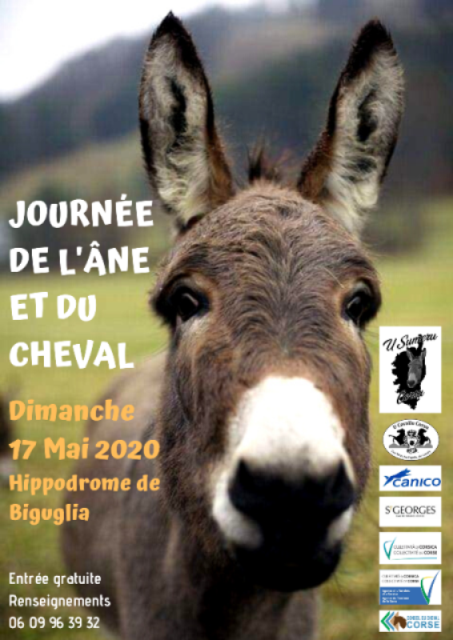 Foire de l'âne et du cheval