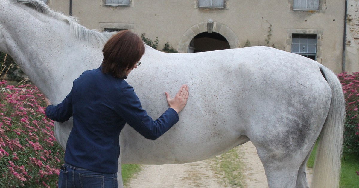 Estimer la note d’état corporel & poids d’un cheval