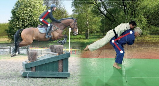 Equitation et judo : les transferts d’apprentissage