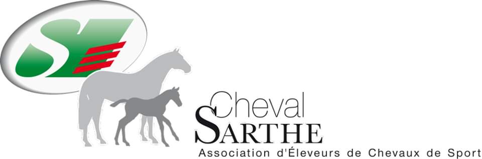 Concours Foal à Lavernat