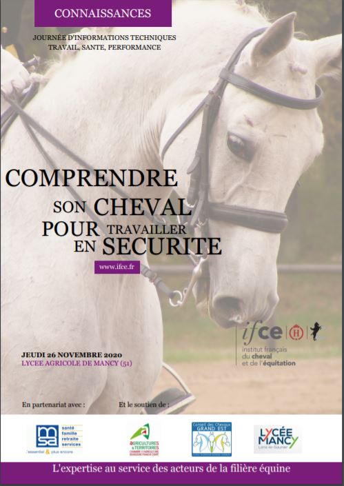 Journée Ifce/MSA : Comprendre son cheval pour travailler en sécurité