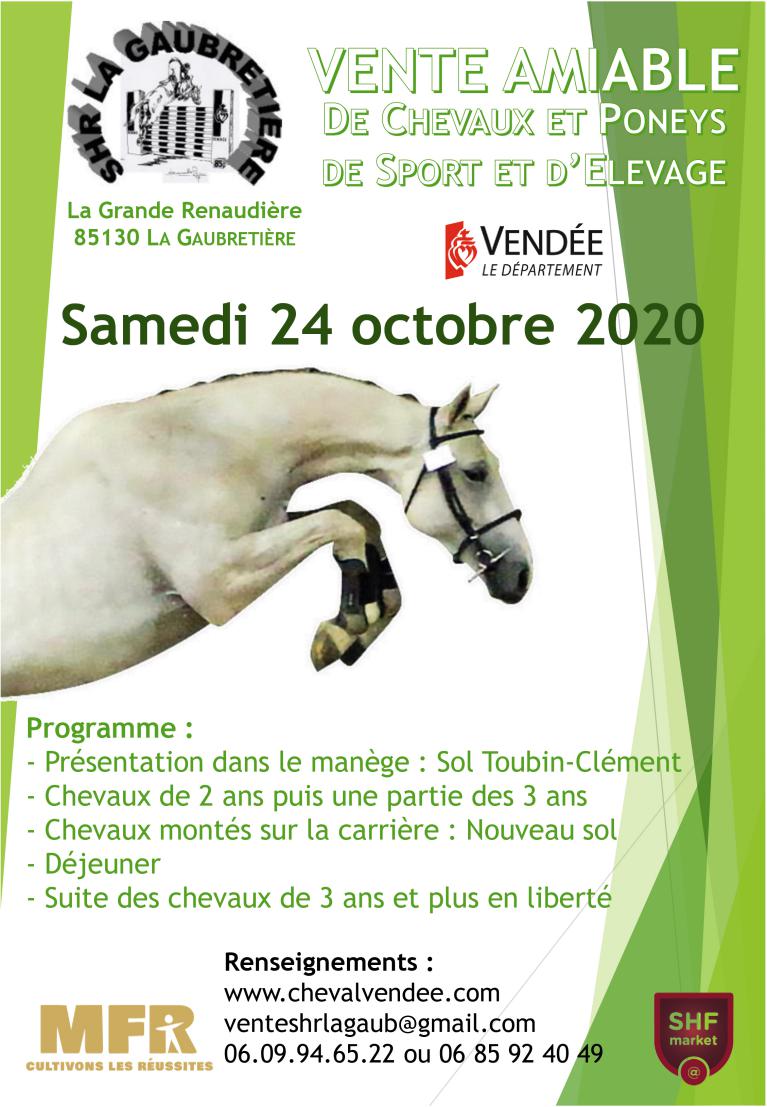 Vente de jeunes chevaux de sport à la Gaubretière