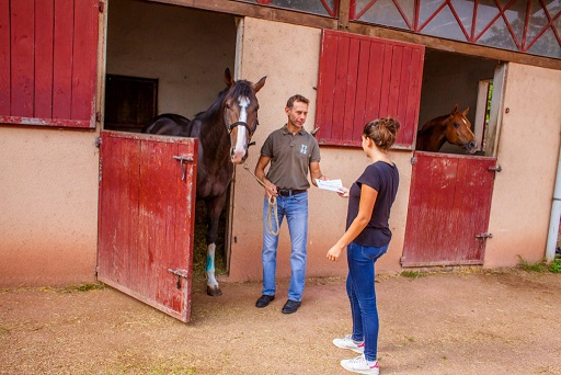 Chevaux en pension : contrat et règles de responsabilité