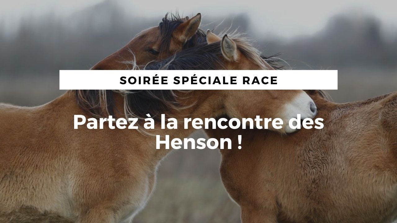 LIVE : Partez à la rencontre des Henson !