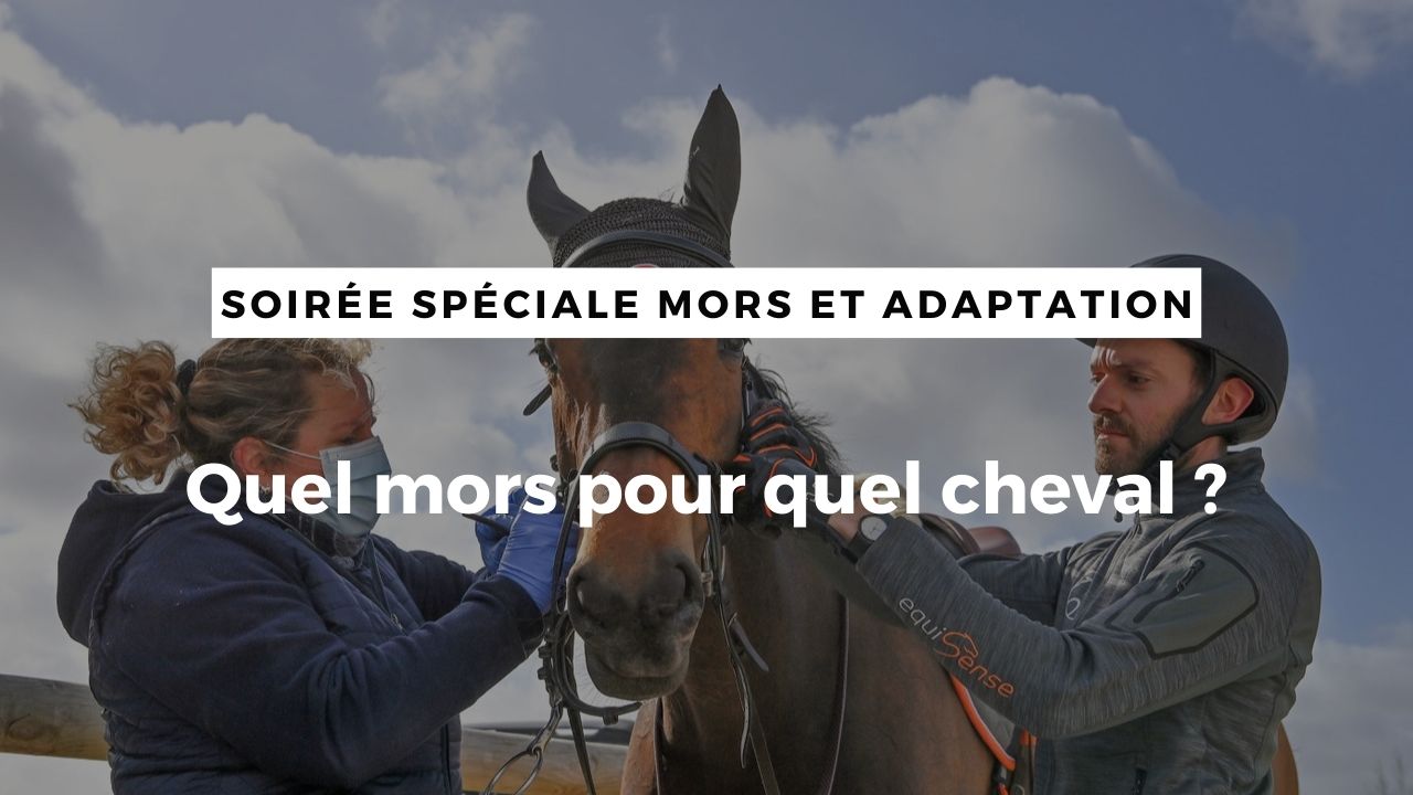 LIVE : Quel mors pour quel cheval ?
