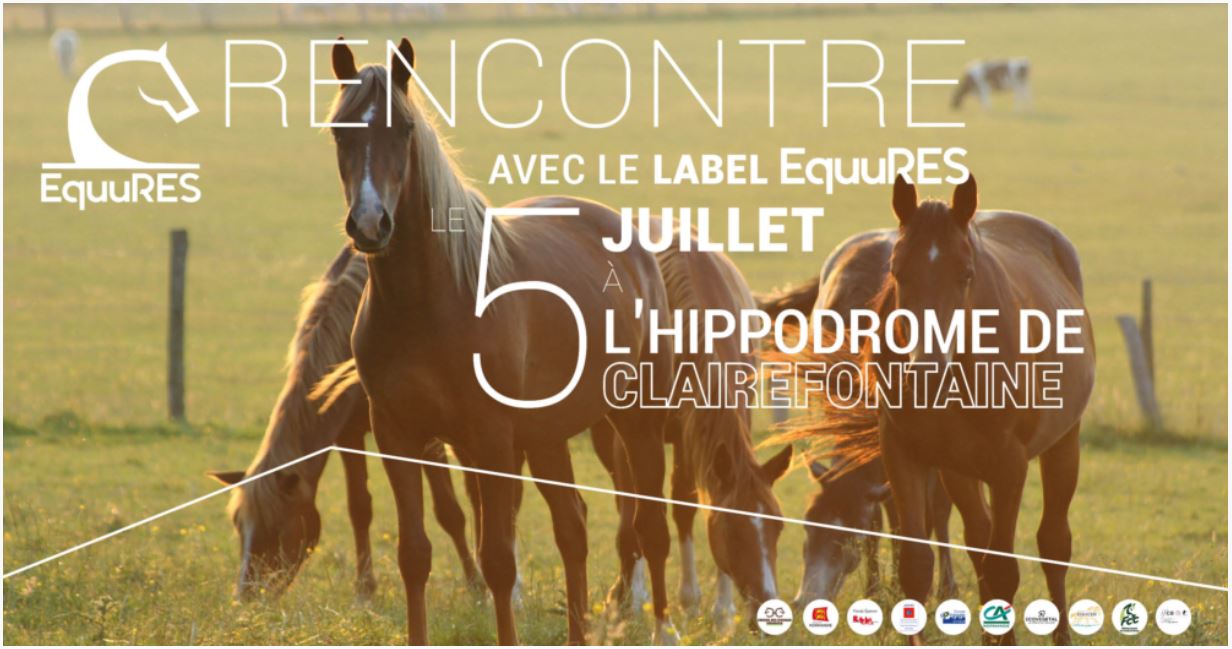 Journée bien-être du cheval à l'hippodrome de Clairefontaine