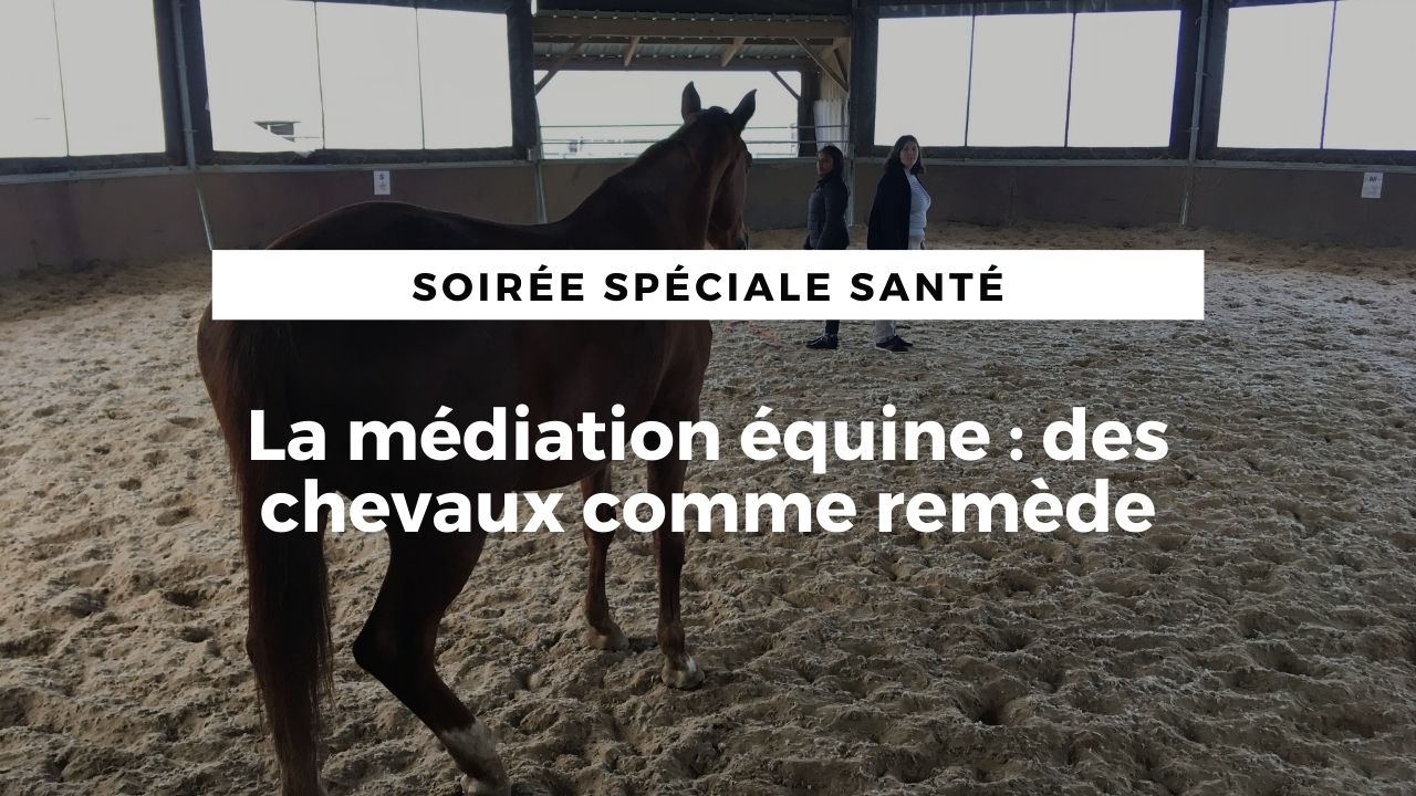 LIVE : La médiation équine : des chevaux comme remède