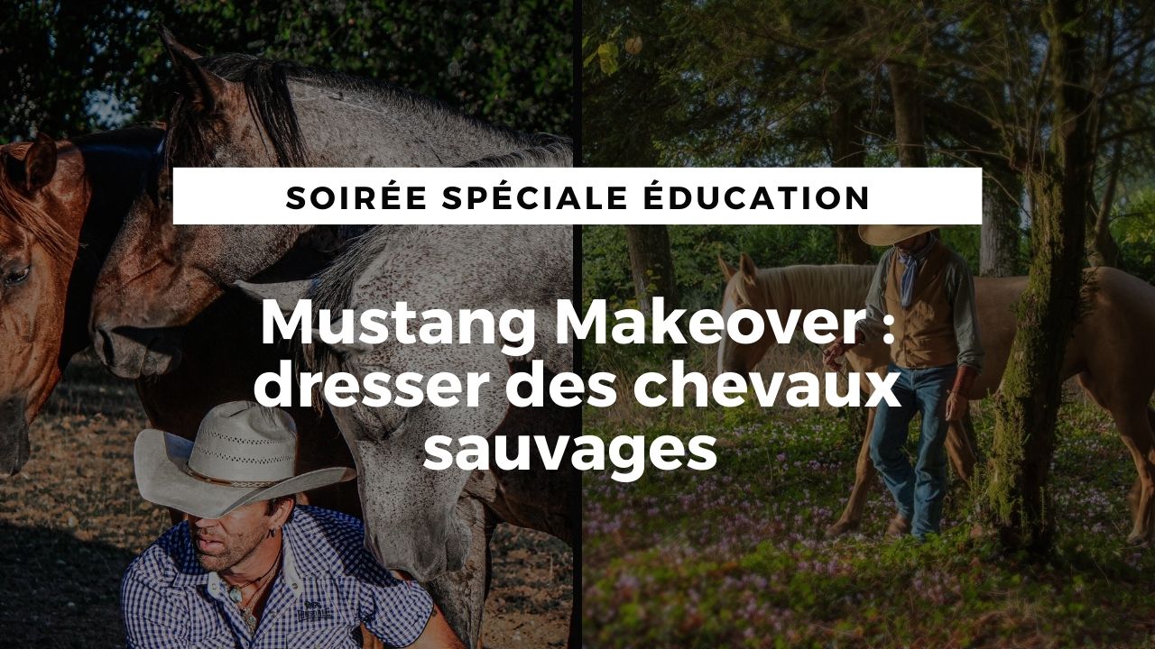 LIVE : Mustang Makeover, dresser des chevaux sauvages