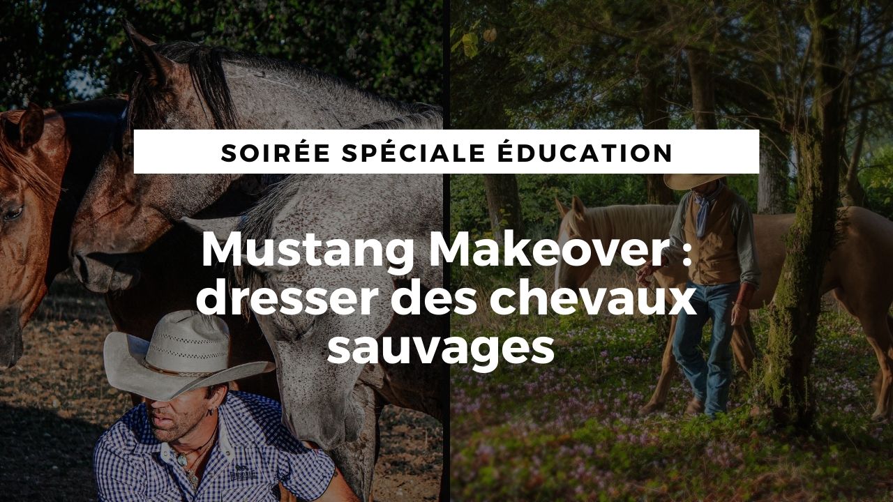 LIVE :  Mustang Makeover, dresser des chevaux sauvages