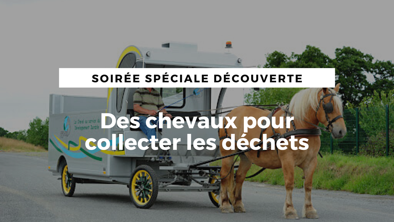 LIVE : Des chevaux pour collecter les déchets