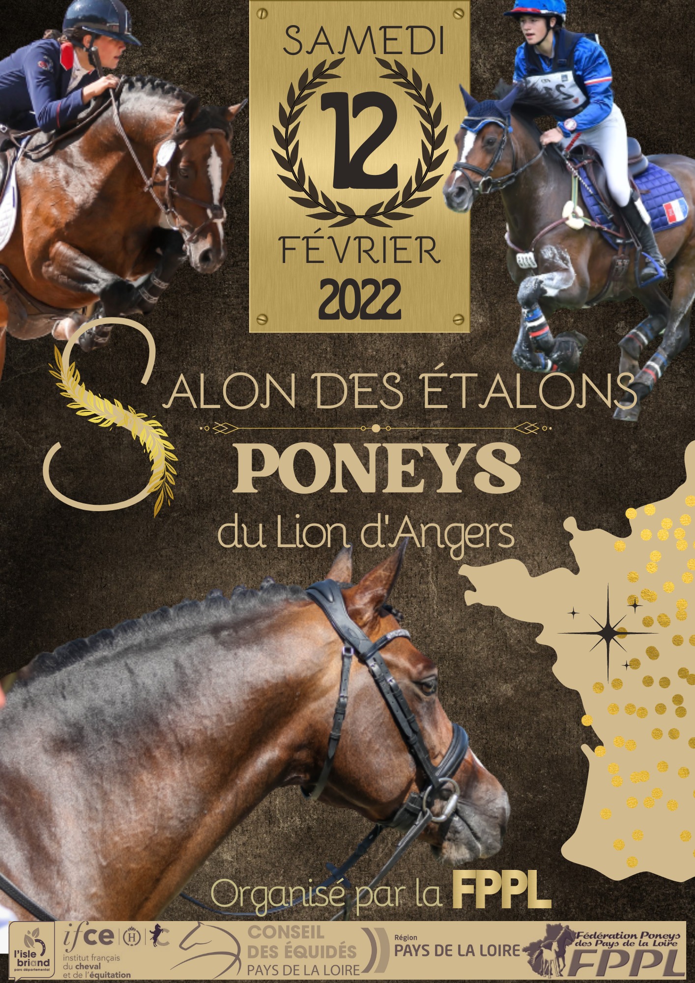 Salon des Etalons Poneys - Le Lion d'Angers