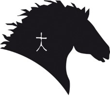 Formation nouveaux juges SFET Modèles et Allures Cheval Breton