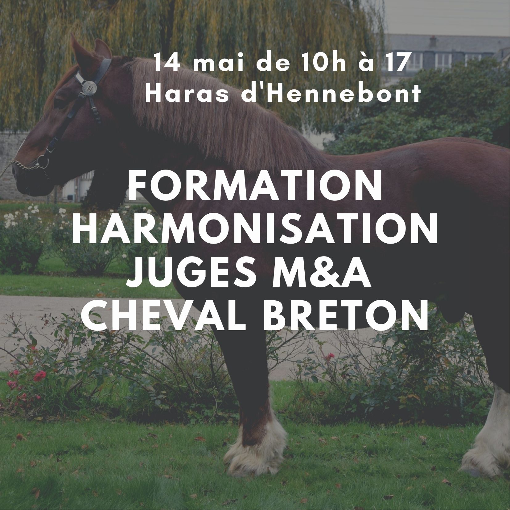 Formation Harmonisation des juges Samedi 14 mai au Haras National d'Hennebont