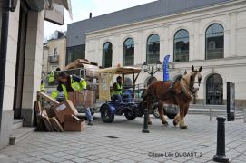 Formation : Initiation au travail avec le cheval territorial au Haras d'Hennebont