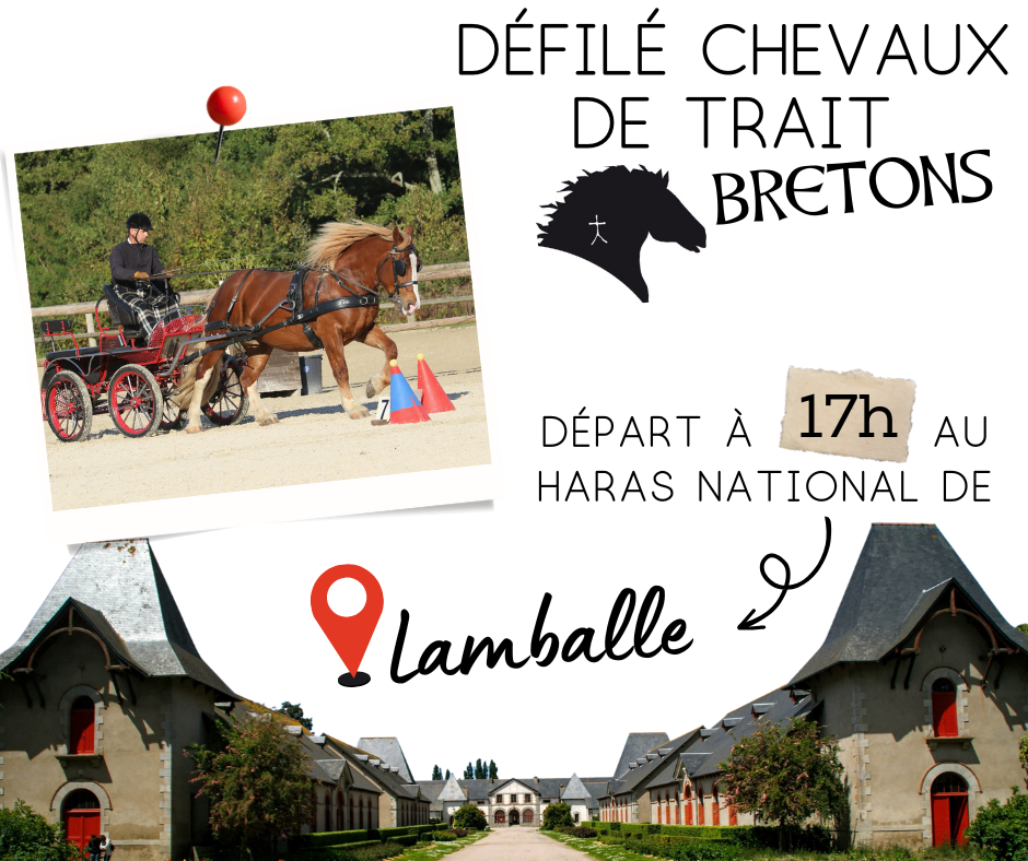 Défilé Chevaux de Trait Bretons à Lamballe
