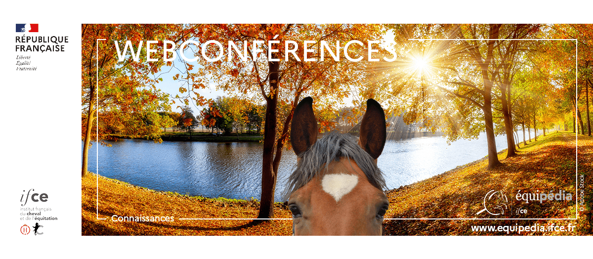 WEBconférence : L’innovation au service du bien-être à l’écurie