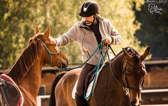 Journée d'information gratuite : « Travailler en sécurité avec les chevaux »