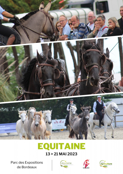 Equitaine