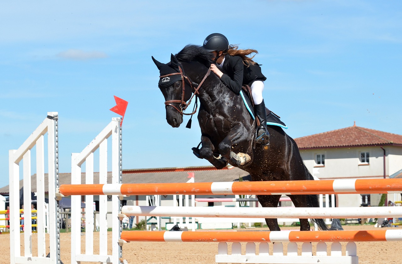 Championnat d'Ille-et-Vilaine de concours de saut d'obstacles catégorie Poneys