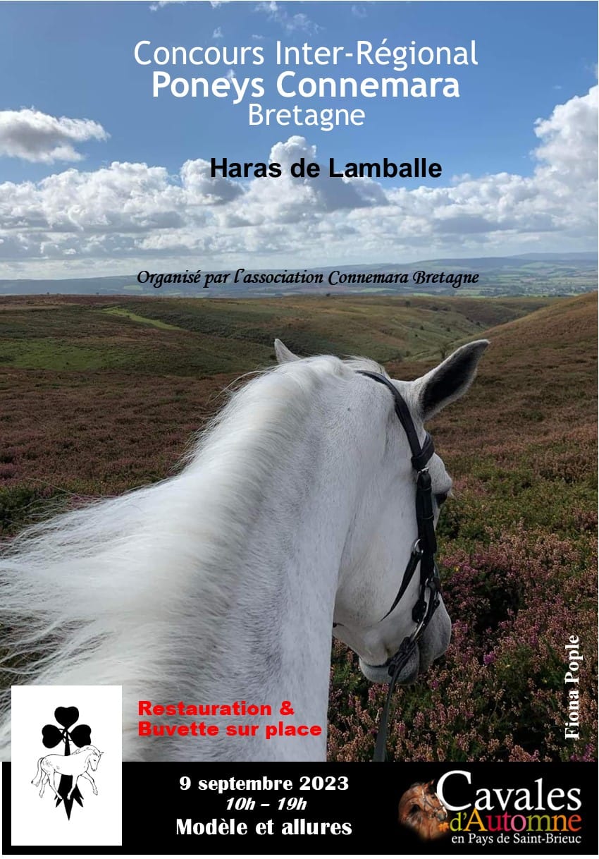 Concours régional Connemara Bretagne