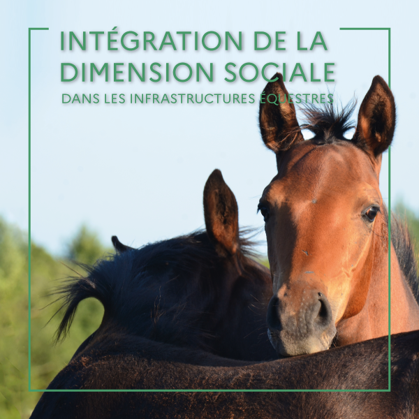 Journée d'Informations Techniques : intégration de la dimension sociale dans les infrastructures équestres
