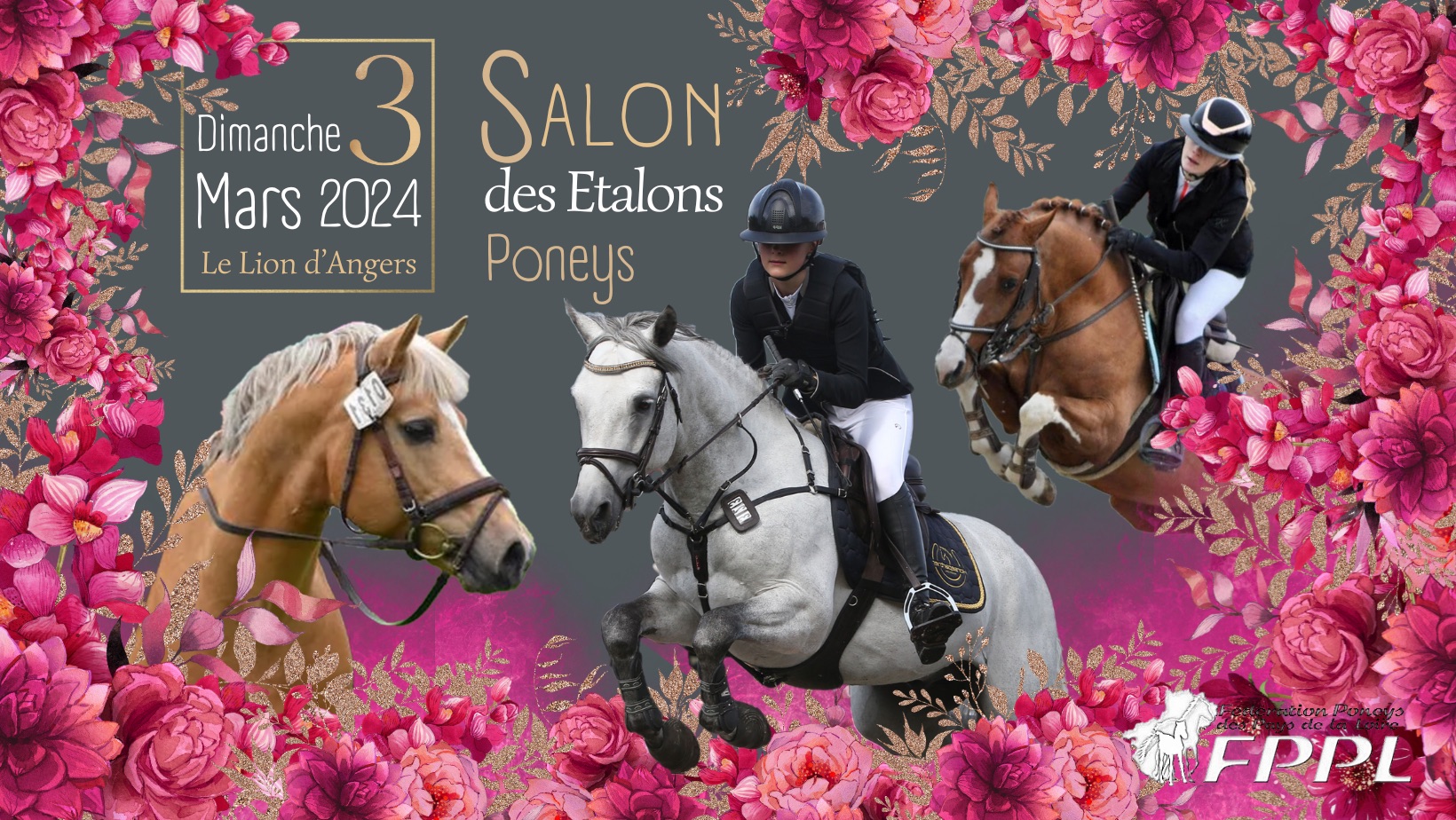 Salon des étalons poneys