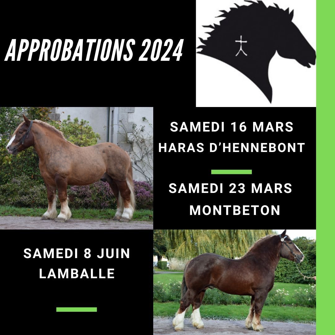 Approbation Chevaux Bretons