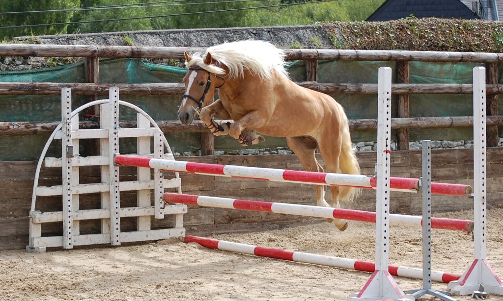 Formation de saut en liberté