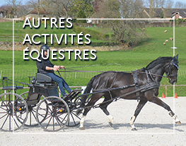 WEBconférence : SHF Attelage 5 ans Qualif’1 : les attendus des juges