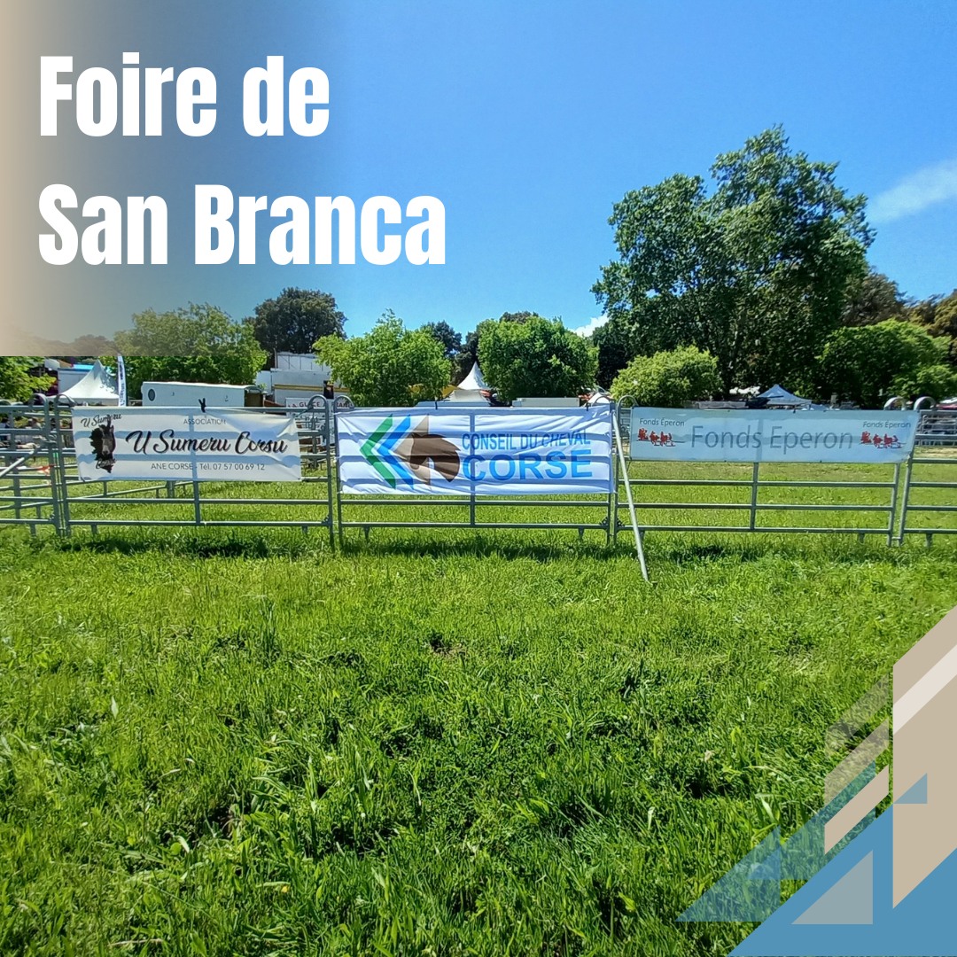 Fiera di San Branca