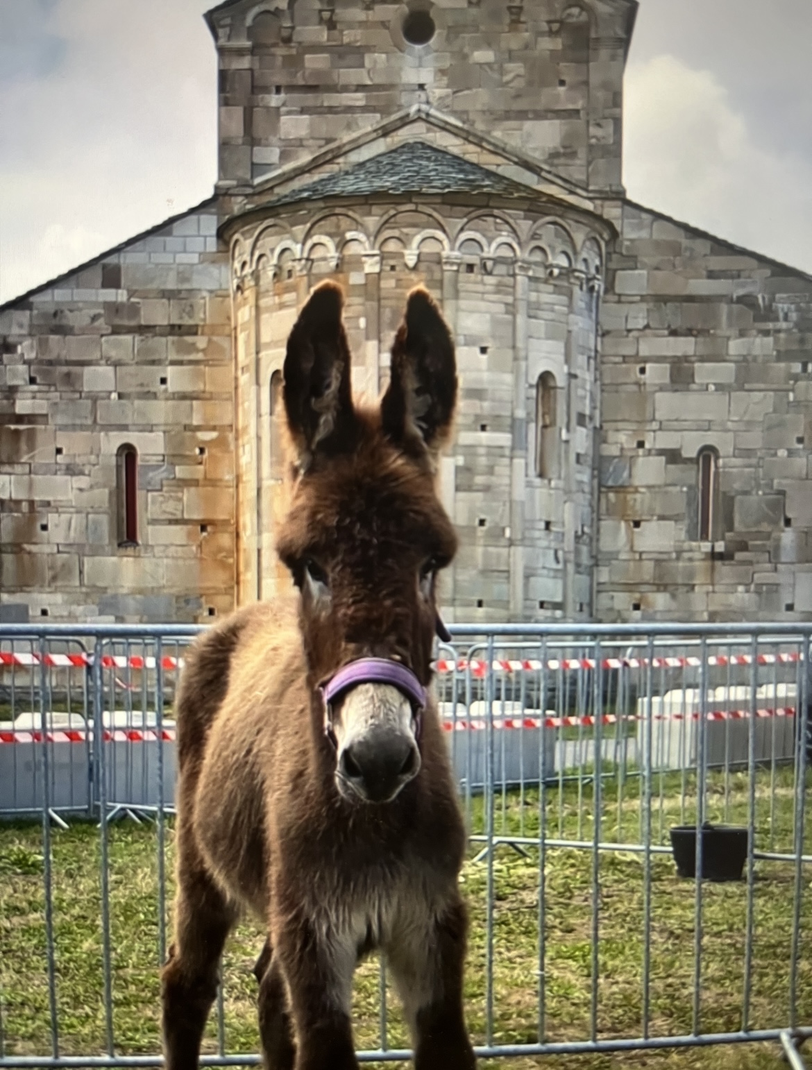 Fiera di a Canonica