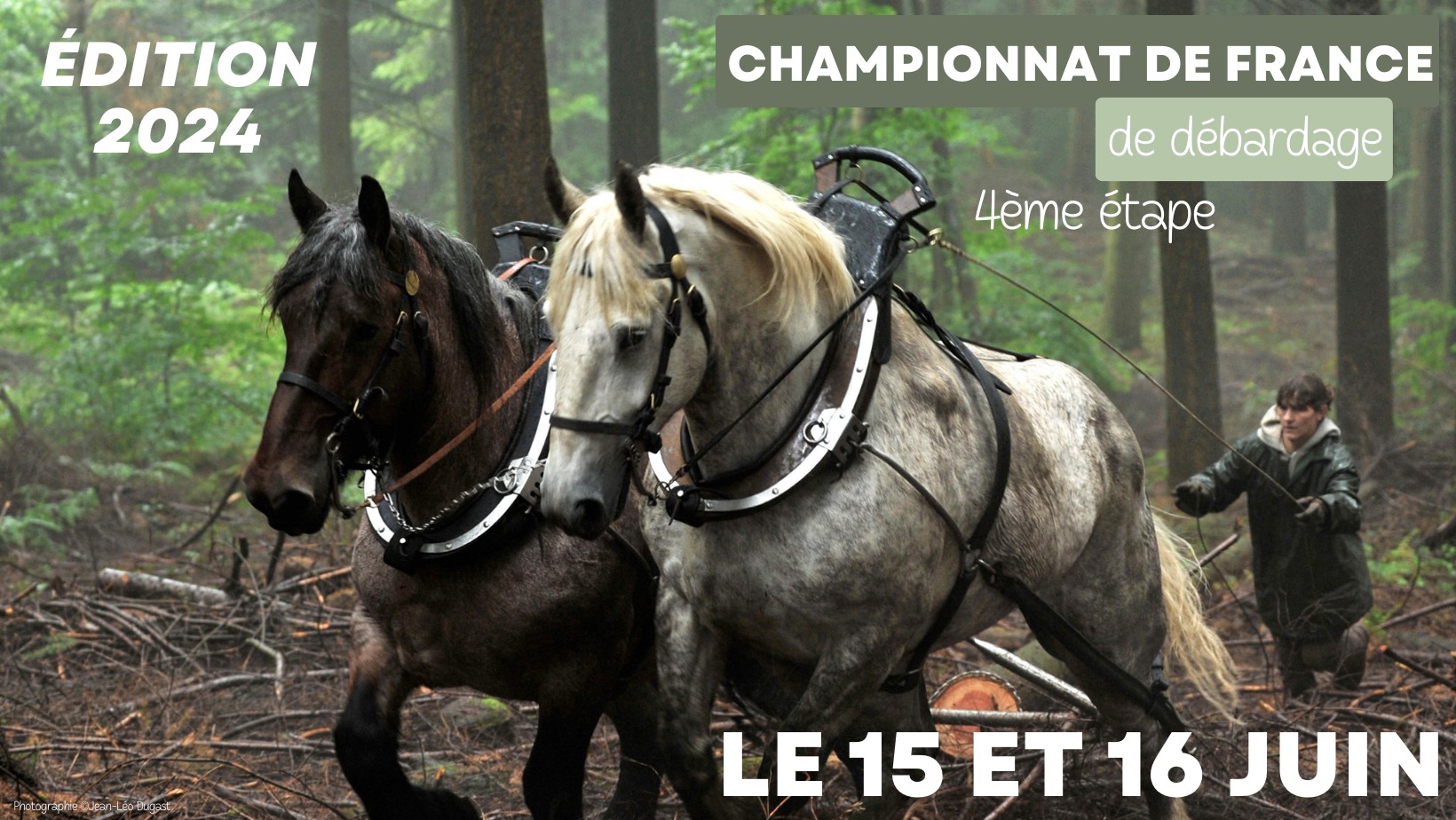 Championnats de France de débardage à cheval