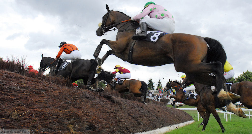 Course - Hippodrome du Pertre