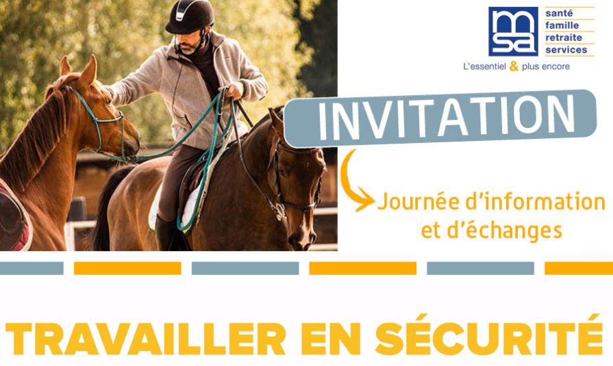 Formation "Travailler en sécurité avec les chevaux "