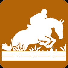 Championnat de Bretagne Hunter Amateur et Club