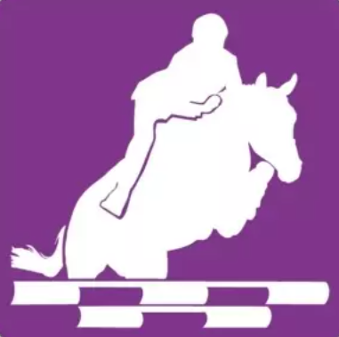 Championnats de Bretagne CSO Amateur
