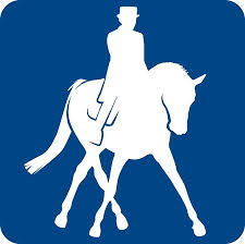Championnats de Bretagne Dressage Club Amateur et Para