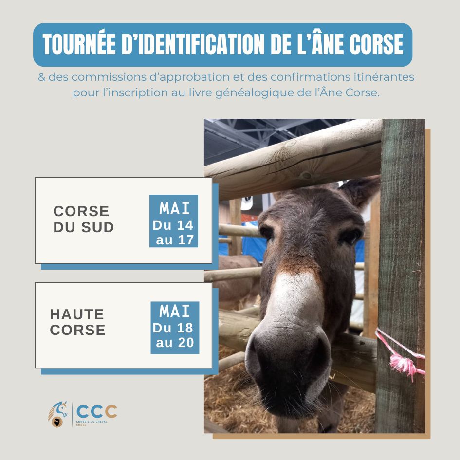 Tournée d’identification de l’Âne Corse en Haute-Corse