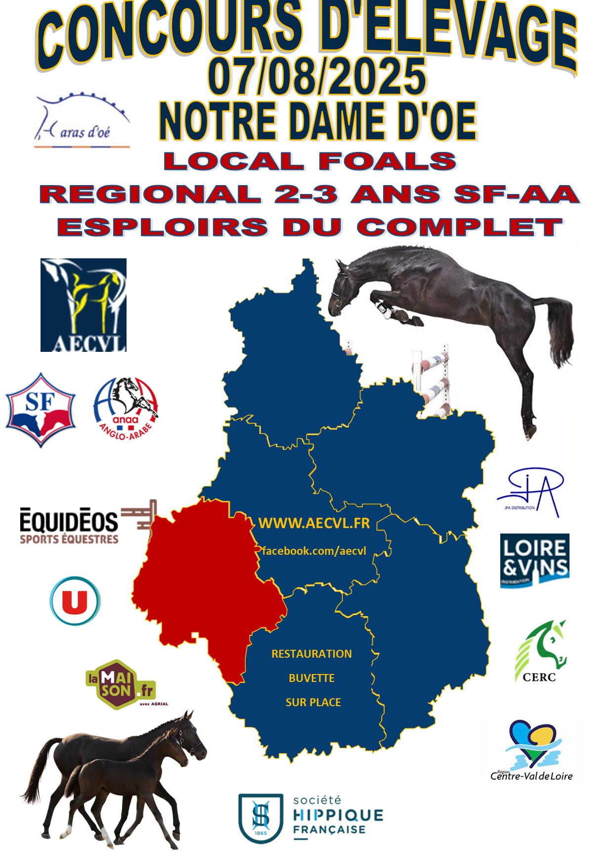 Modèle et Allures concours Régional 2 et 3 ans et foals le 7 août