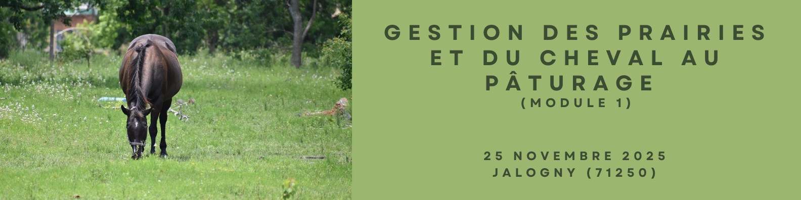 Gestion des prairies et du cheval au pâturage - module 1 (71)