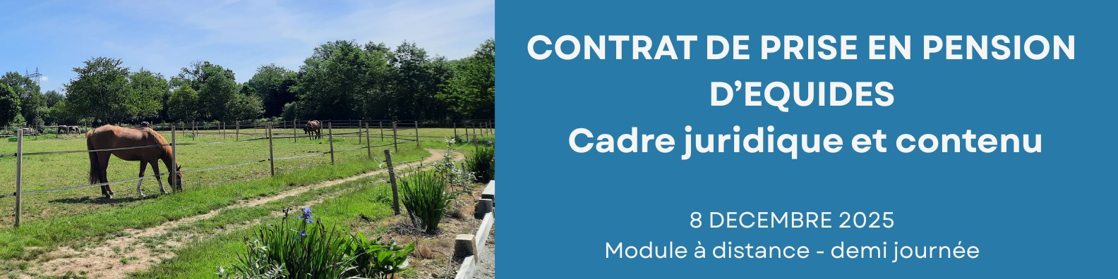 Contrat de prise en pension d'équidés - cadre juridique et contenu