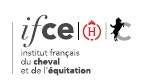 Respecter les chevaux et agir en sécurité (21)