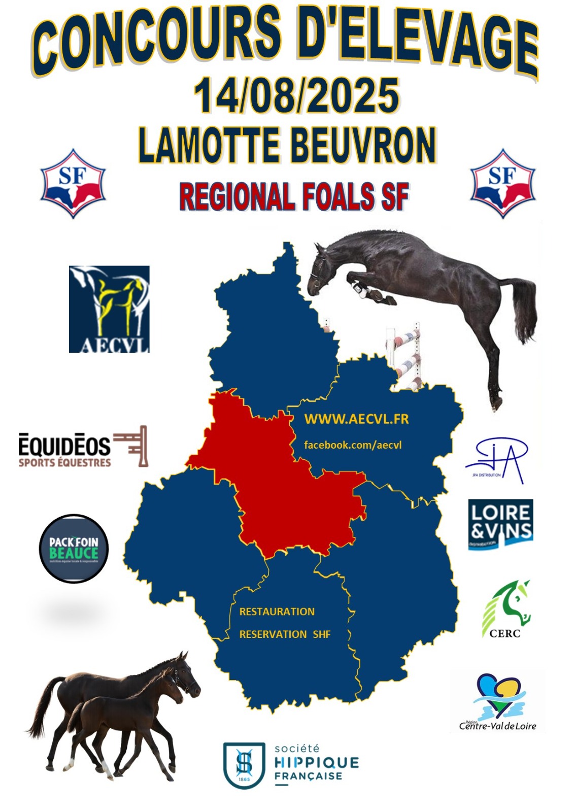 AECVL : concours régional foals à Lamotte Beuvron