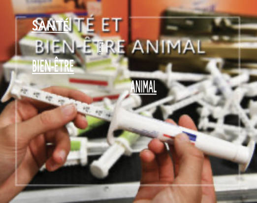 WEBconférence : Bilan de l’efficacité actuelle des vermifuges